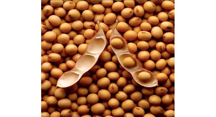 Soybean futures close lower
