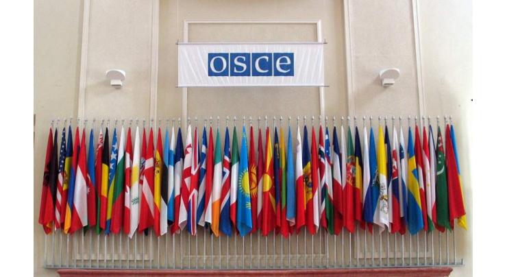 Berlin Stresses Only OSCE Monitoring Mission Allowed to Use Drones in Donbas