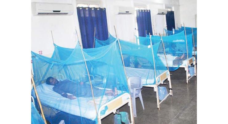 2339 dengue patients brought to allied hospitals so far
