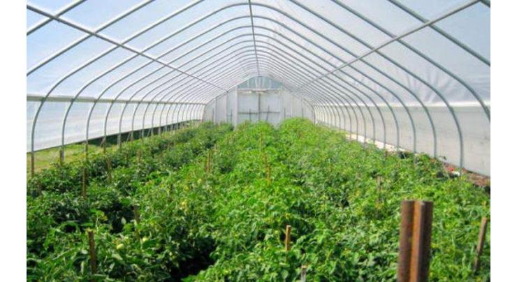 Agri experts advice to adopt  tunnel farming
