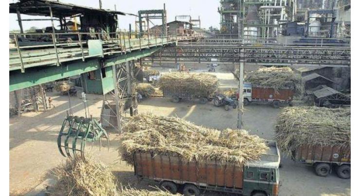 Sugar mills to start crushing from Nov 15
