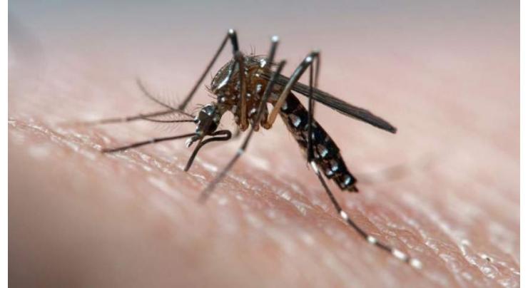 69 more infects with dengue fever in RWP
