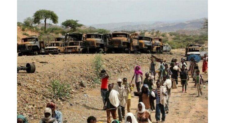 Possible Sanctions on Ethiopia Counterproductive, Will Inflict Damage on Civilians - Envoy