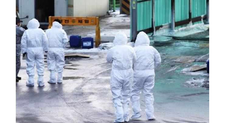 South Korea Confirms 6 Cases of Highly Pathogenic Bird Flu
