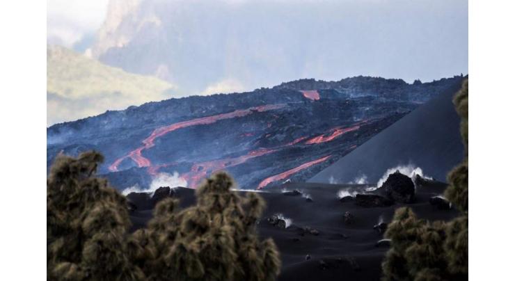 Ash from La Palma volcano halts flights again
