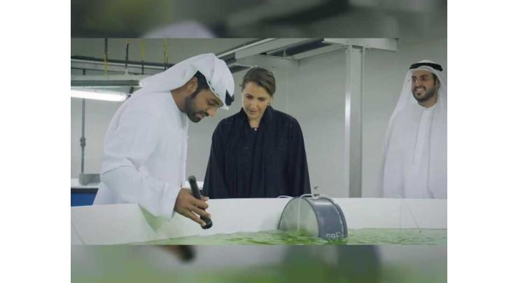 Sheikh Khalifa Marine Research Centre delivers 600,000 Fish fingerlings to aquaculture companies in UAE
