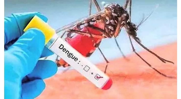 139 new dengue cases reported in Punjab
