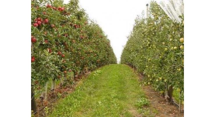 Organic fruit orchard inaugurated to give farmers a recipe to higher profits from smaller area
