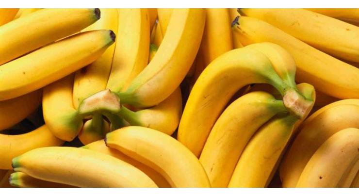 Online Certificate Course on Micropropagation of Quality Banana held
