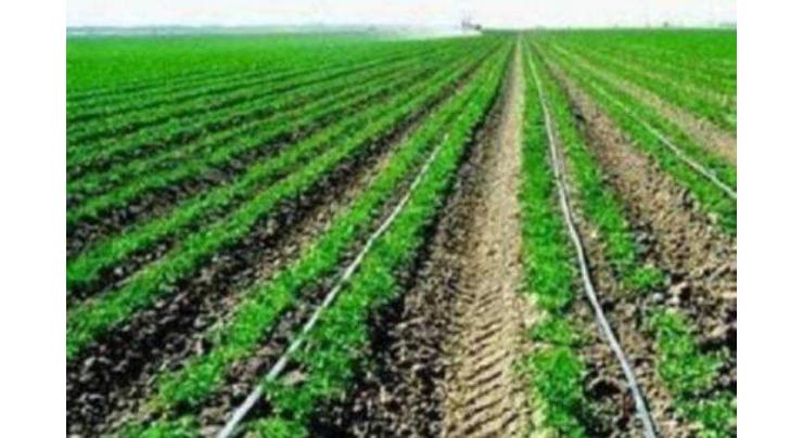 PFA discards spinach irrigated with waste-water
