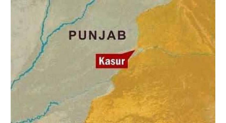 Committee adresses 248 cases of expats in kasur
