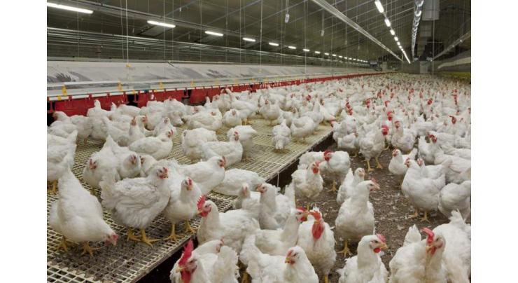 French Agricultural Ministry Reports Bird Flu Outbreak in Nord Department