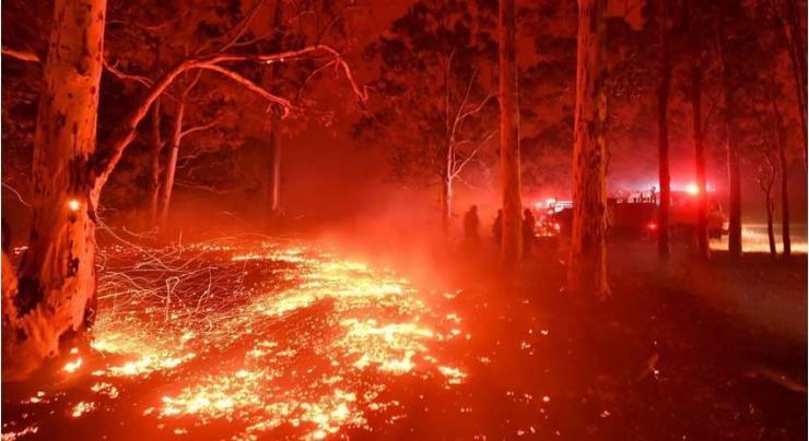 Climate 'overwhelming' driver of Australian bushfires: study
