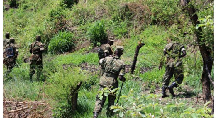 Uganda, DR Congo Launched Airstrikes on ADF Militants - Defense Ministry