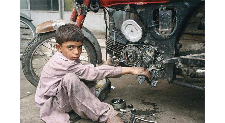 Minister reiterates KP Govt resolve to eradicate child labour
