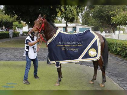 المهرة &quot;أولمبي&quot; تقتنص لقب كأس رئيس الدولة للخيول العربية في المغرب