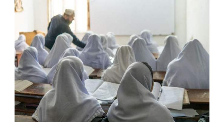 Over 13,500 non-formal schools providing free education to 400,000 children in Punjab: Rashid Hafeez
