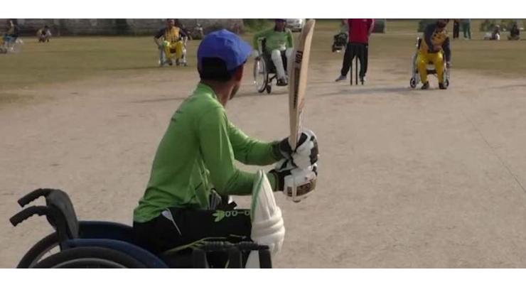 Wheelchair cricket tournament organised on "World Disability Day"
