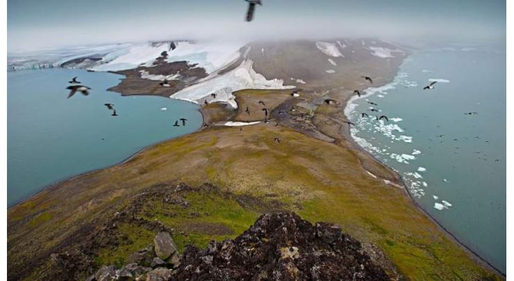 Russia's Arctic National Park Reports Disappearance of Peninsula on Franz Josef Land