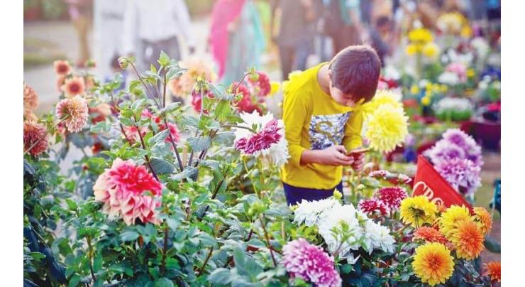 Asif inaugurates winter flower show
