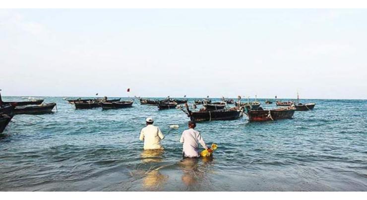 Balochistan govt bans illegal fishing trawlers at Gwadar, beefs up FD patrolling
