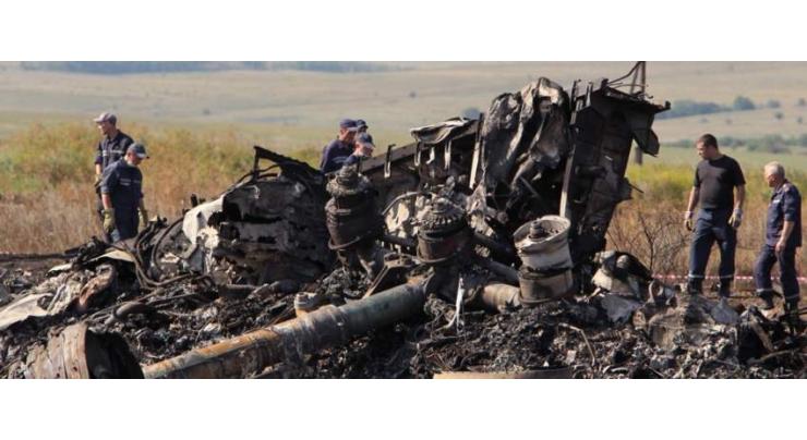 Hague Court Received 301 Compensation Claims From Relatives of MH17 Crash Victims - Judge