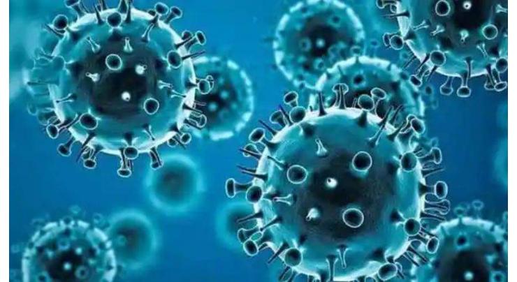WHO, US scientists say Omicron no worse than other virus variants
