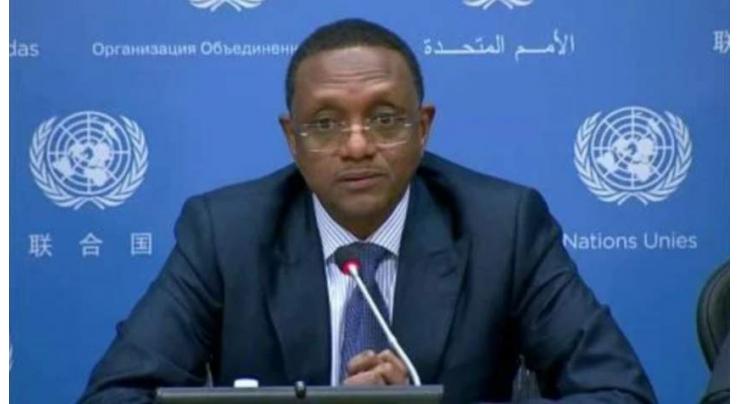 New Purchases of Weapons Were Not on Agenda of Recent Chad-Russia Talks - Top Diplomat Mahamat Zene Cherif