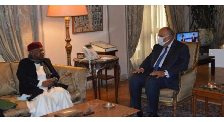 Hissein Brahim Taha Meets Egypt’s Foreign Minister, Discuss Issues of Common Interest