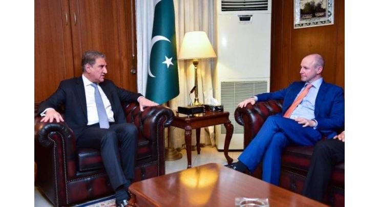 FM Qureshi, UK parliament member discuss bilateral ties, cooperation
