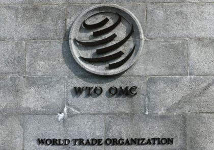67 countries reach 'historic' deal on trade in services at WTO
