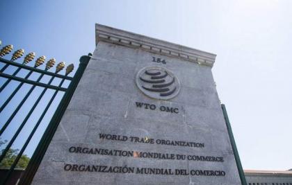 WTO announces conclusion of negotiations of Joint Statement Initiative on Services Domestic Regulation
