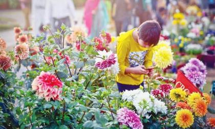 Asif inaugurates winter flower show
