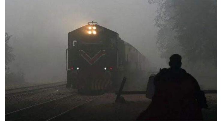 Fog disrupts trains schedule
