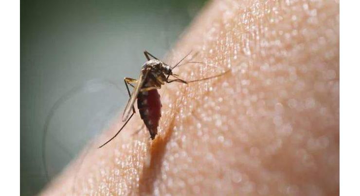 Another dengue case reported in Punjab
