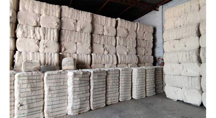 Over 7.3 m cotton bales reach ginneries across Pakistan
