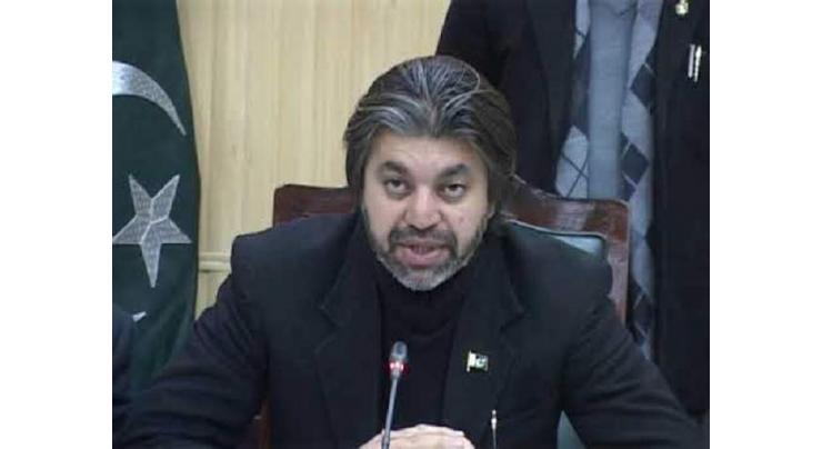 Govt to complete five year constitutional term without any trouble: Ali M Khan
