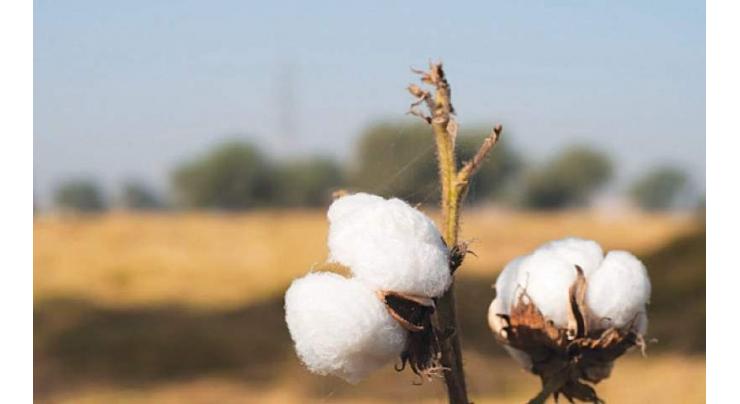 Spot rates of cotton (Crop 20 21-22)
