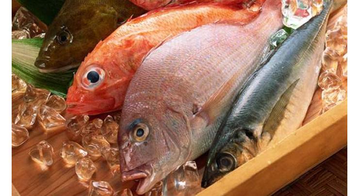Seafood exports increase by 3.18% in 1st half
