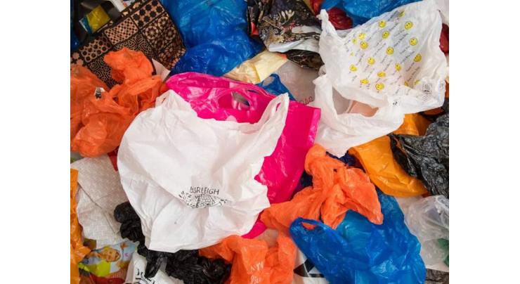 Business community's role key to rid society of polythene bags curse
