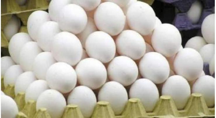 Punjab Food Authority discards 1,900 rotten eggs
