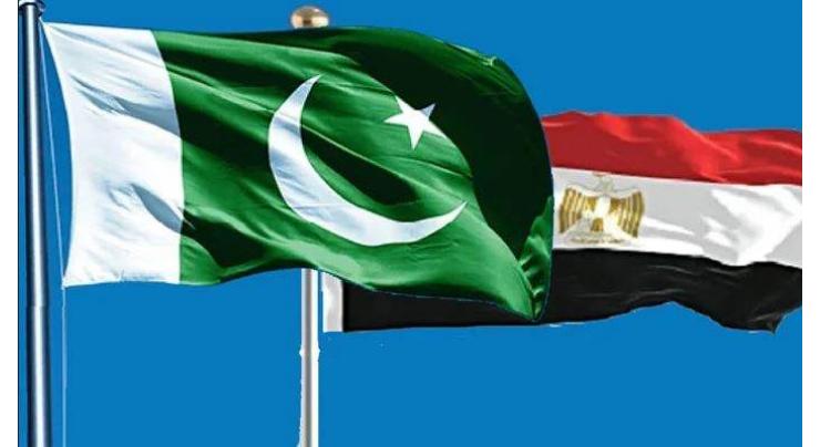 Egypt, Pakistan achieved economic growth despite COVID-19: Muzammil Aslam
