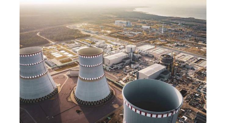 Rosatom to Set Up Working Group With UAE on Low-Capacity Nuclear Power Plants - Head
