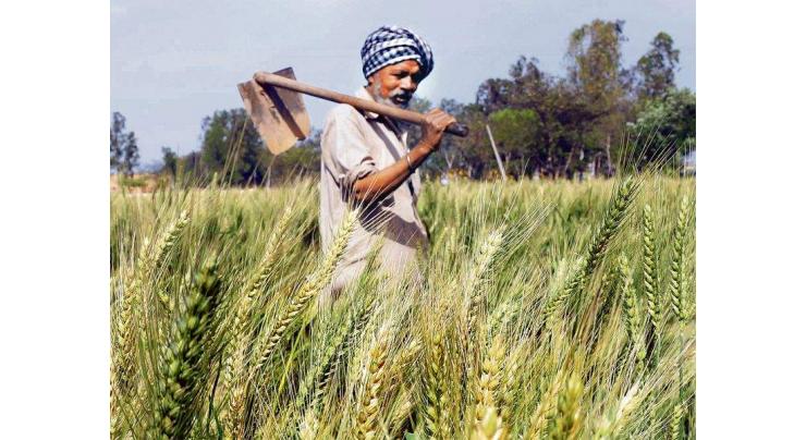 Farming starts on land belonging to Guru Nanak
