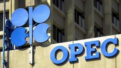 OPEC Keeps Forecast for Global Oil Demand in 2022 Unchanged