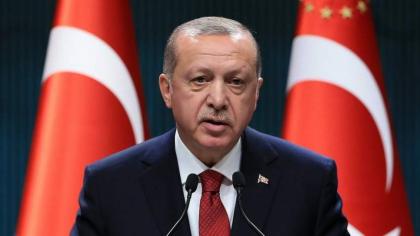 Turkey Wants to Organize Face-to-Face Meeting Between Putin, Zelensky - Erdogan
