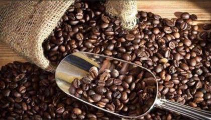 UNECA chief lauds success in exporting Ethiopian coffee to China
