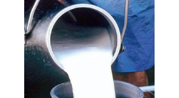 PFA seizes 5000 liters adulterated milk
