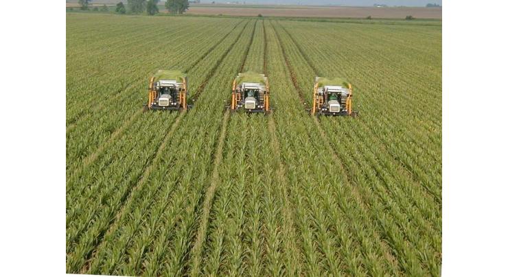 Pakistan-Uzbek agreed for enhancing cooperation in agriculture sector
