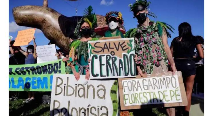 Brazil stars protest Bolsonaro environmental policy
